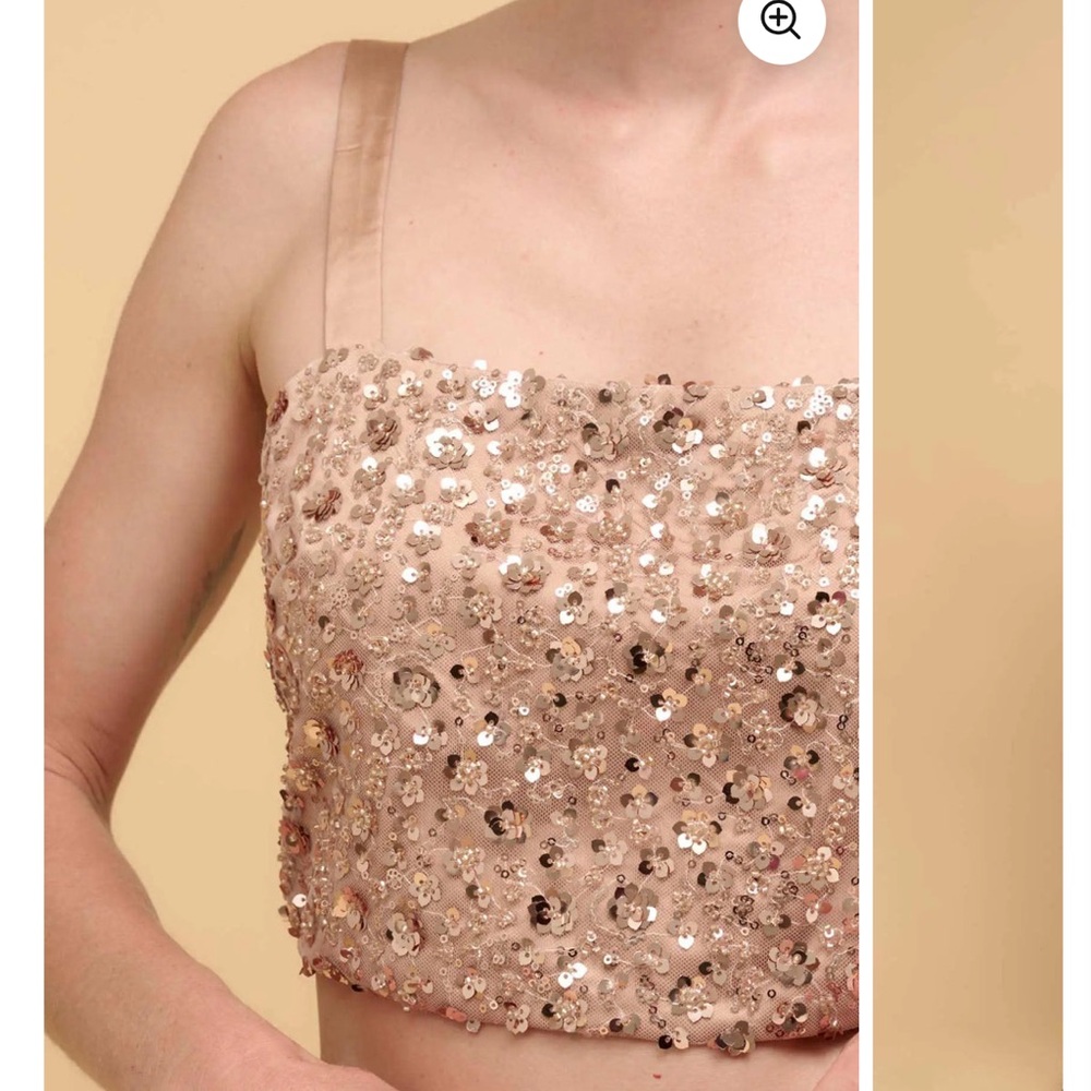 Anthropologie Beaded Sequin Crop Top NWT